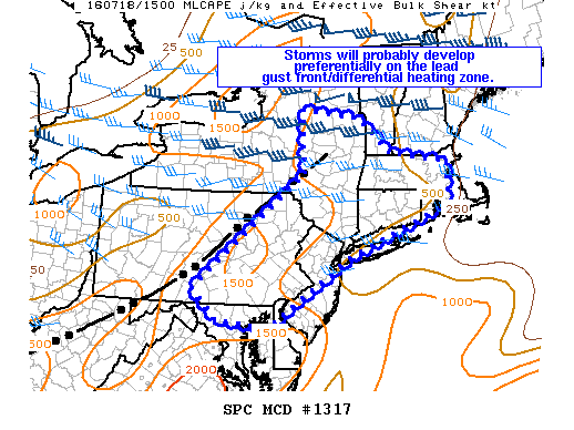 Mesoscale Discussion 1317
