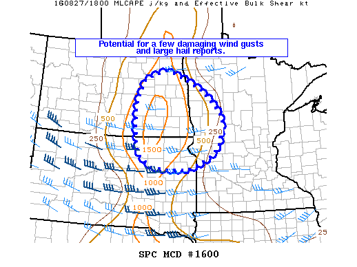 Mesoscale Discussion 1600