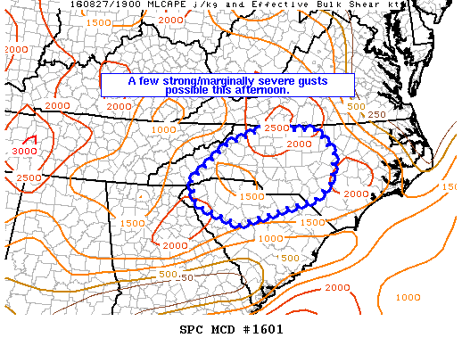 Mesoscale Discussion 1601