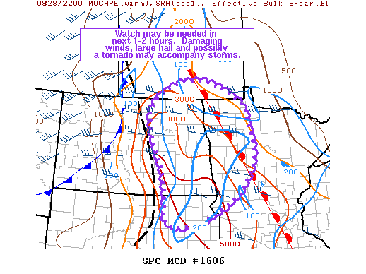 Mesoscale Discussion 1606