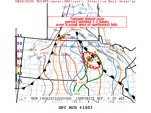 Mesoscale Discussion 1607