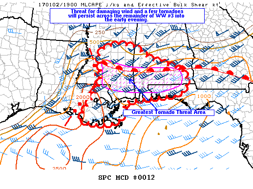 Mesoscale Discussion 12