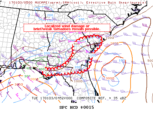 Mesoscale Discussion 15