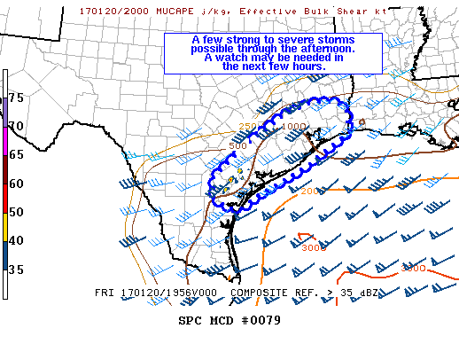 Mesoscale Discussion 79