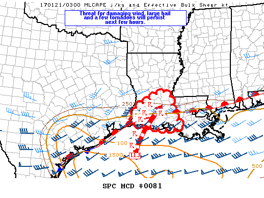 Mesoscale Discussion 81