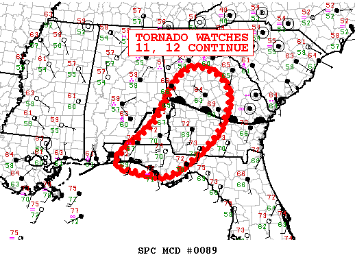 Mesoscale Discussion 89