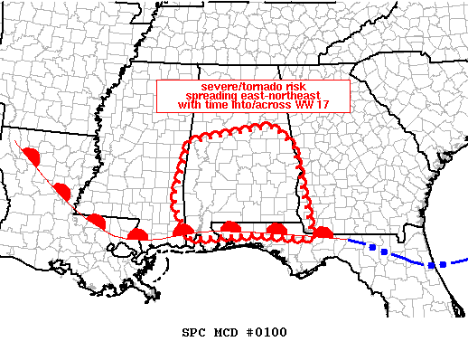 Mesoscale Discussion 100