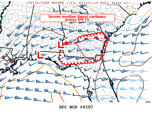 Mesoscale Discussion 107