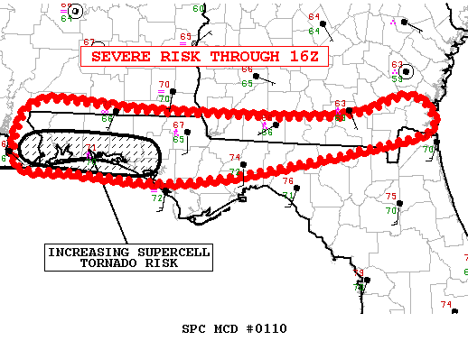 Mesoscale Discussion 110