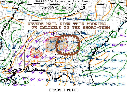 Mesoscale Discussion 111