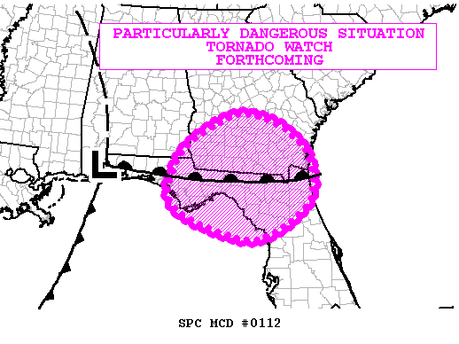 Mesoscale Discussion 112