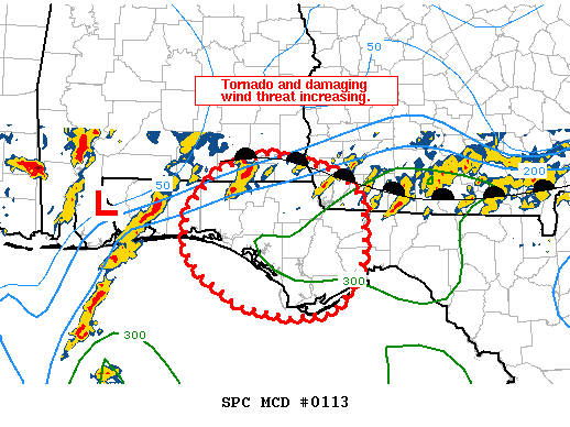 Mesoscale Discussion 113
