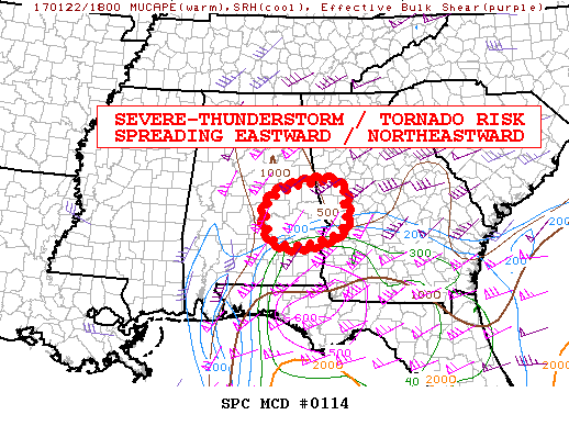Mesoscale Discussion 114