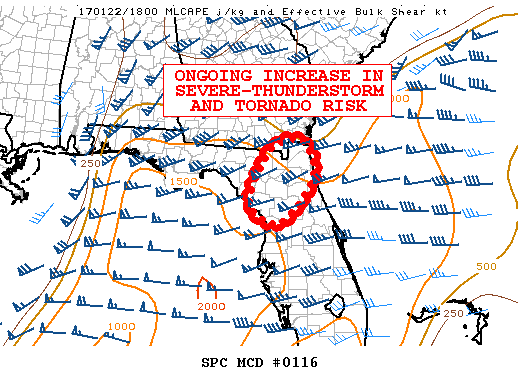 Mesoscale Discussion 116