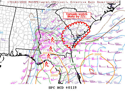 Mesoscale Discussion 119