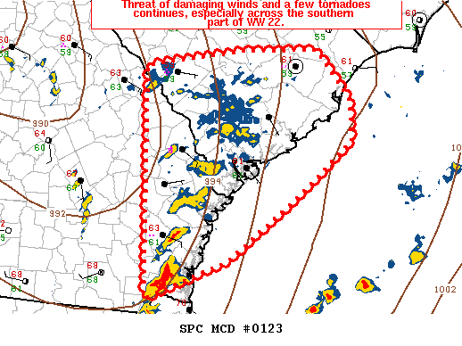 Mesoscale Discussion 123
