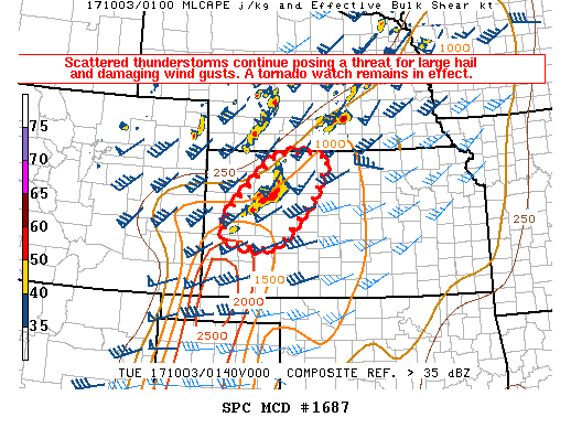 Mesoscale Discussion 1687
