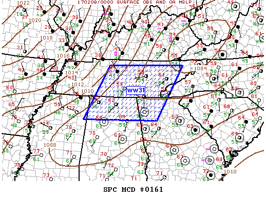 Mesoscale Discussion 161