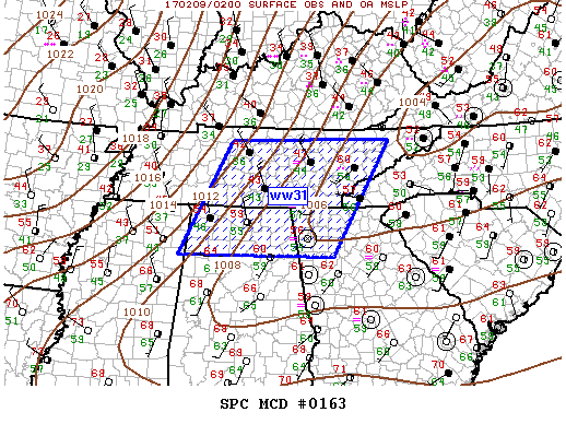 Mesoscale Discussion 163