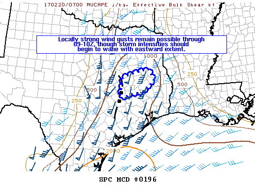 Mesoscale Discussion 196