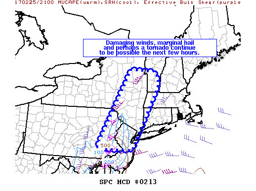 Mesoscale Discussion 213