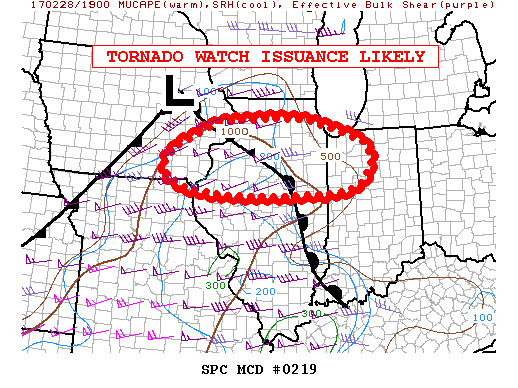 Mesoscale Discussion 219