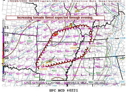Mesoscale Discussion 221