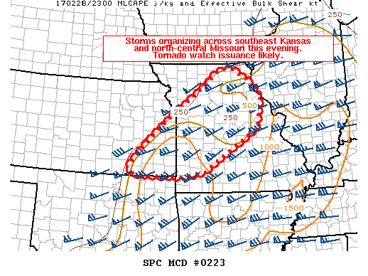 Mesoscale Discussion 223