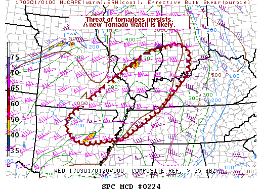 Mesoscale Discussion 224