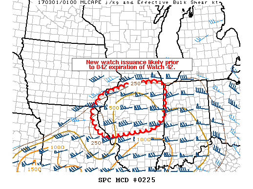 Mesoscale Discussion 225