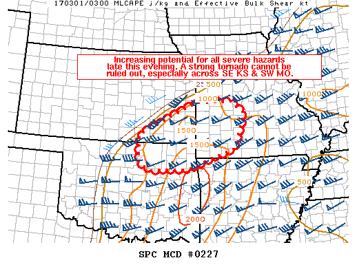 Mesoscale Discussion 227