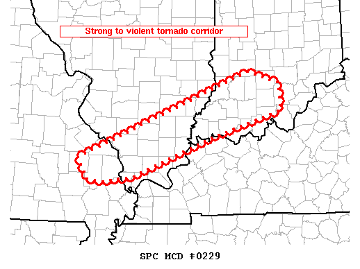 Mesoscale Discussion 229