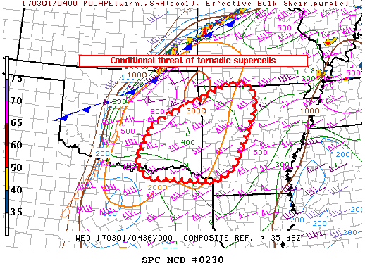 Mesoscale Discussion 230
