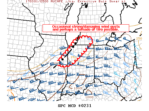 Mesoscale Discussion 231