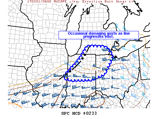Mesoscale Discussion 233