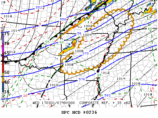 Mesoscale Discussion 236