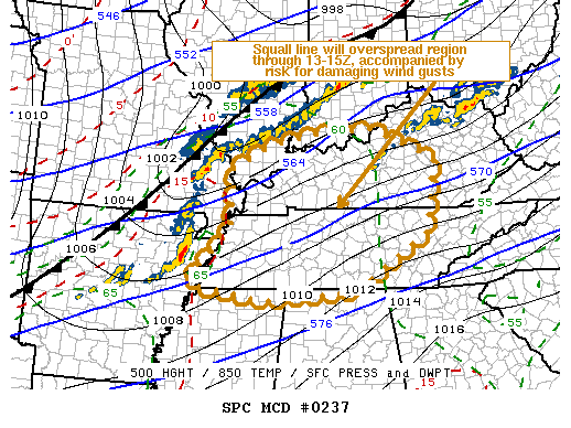 Mesoscale Discussion 237