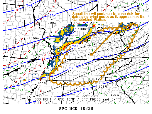 Mesoscale Discussion 238