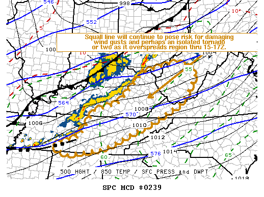 Mesoscale Discussion 239
