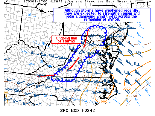 Mesoscale Discussion 242