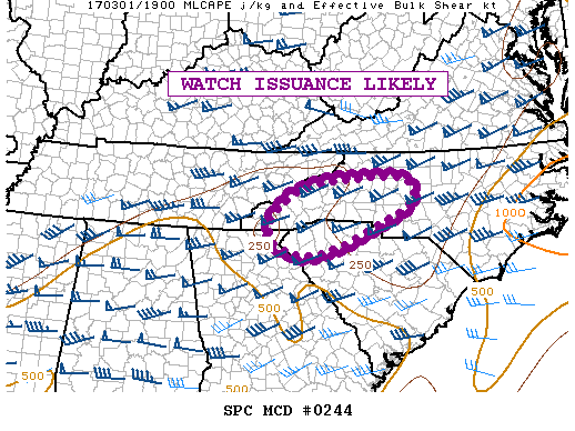 Mesoscale Discussion 244