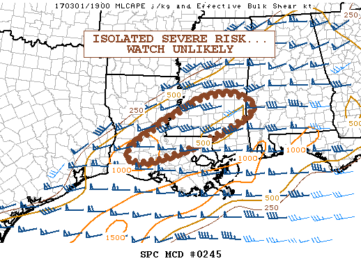 Mesoscale Discussion 245