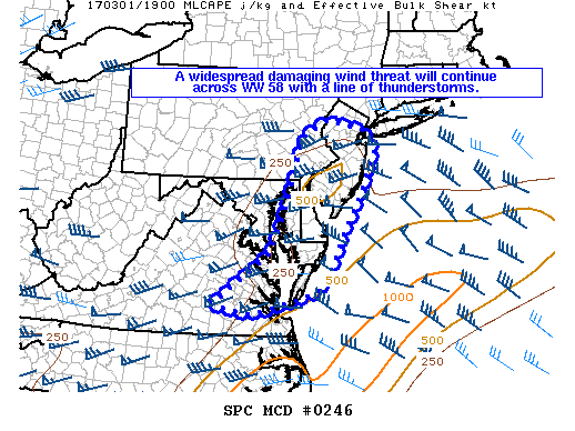 Mesoscale Discussion 246