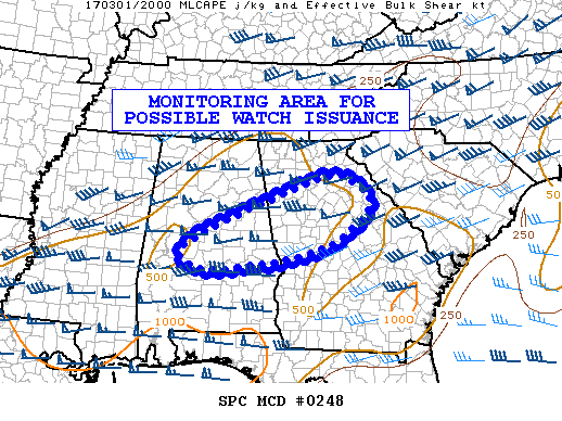Mesoscale Discussion 248