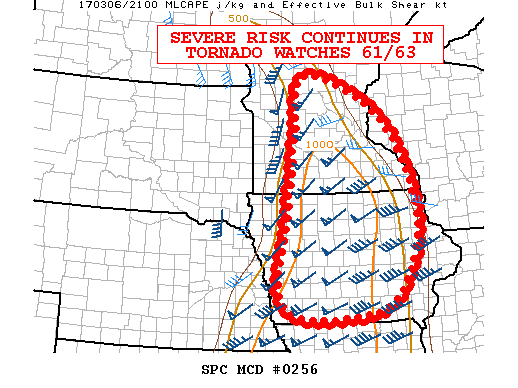 Mesoscale Discussion 256