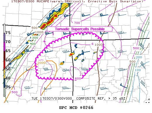 Mesoscale Discussion 266
