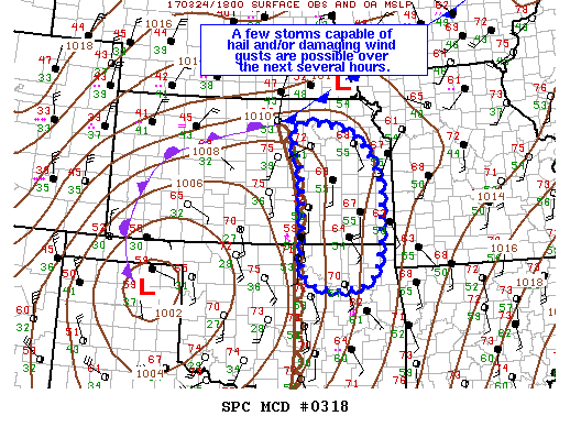 Mesoscale Discussion 318