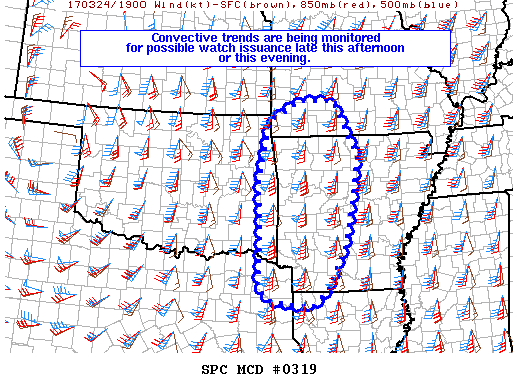 Mesoscale Discussion 319