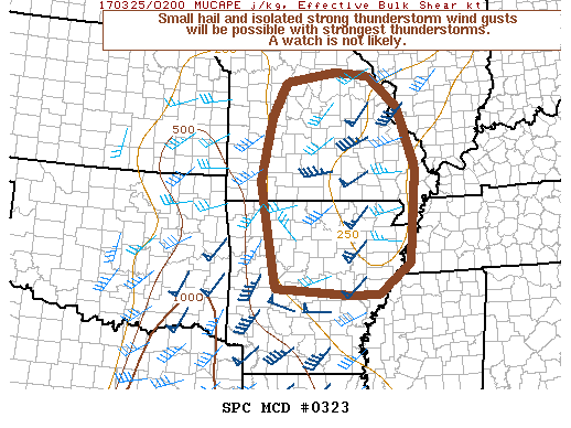 Mesoscale Discussion 323