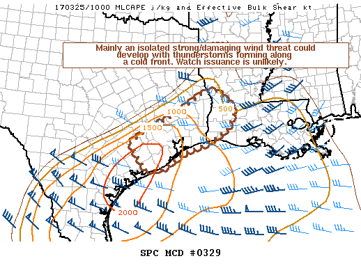 Mesoscale Discussion 329